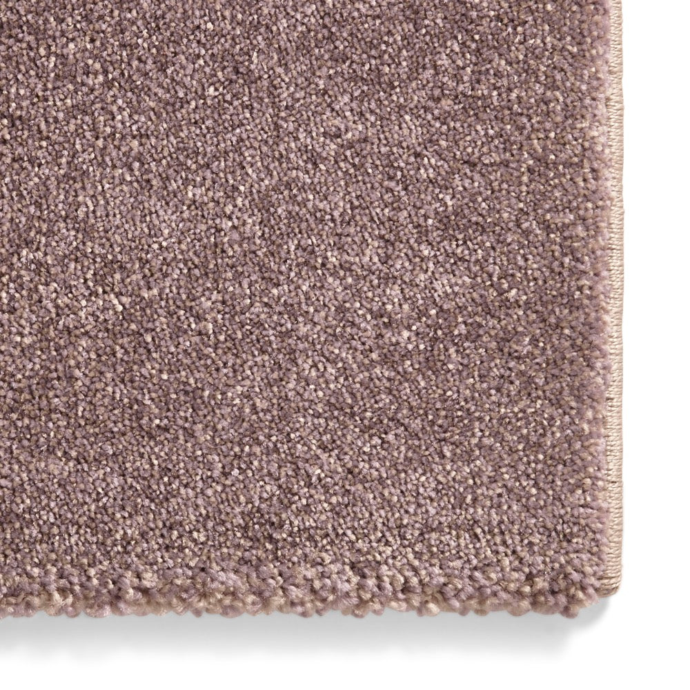 Brooklyn 646 Beige Purple
