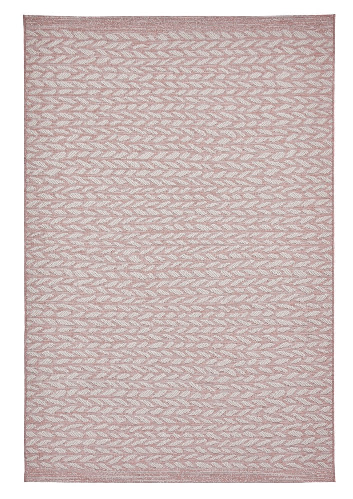 Coast A055 Rose Cream
