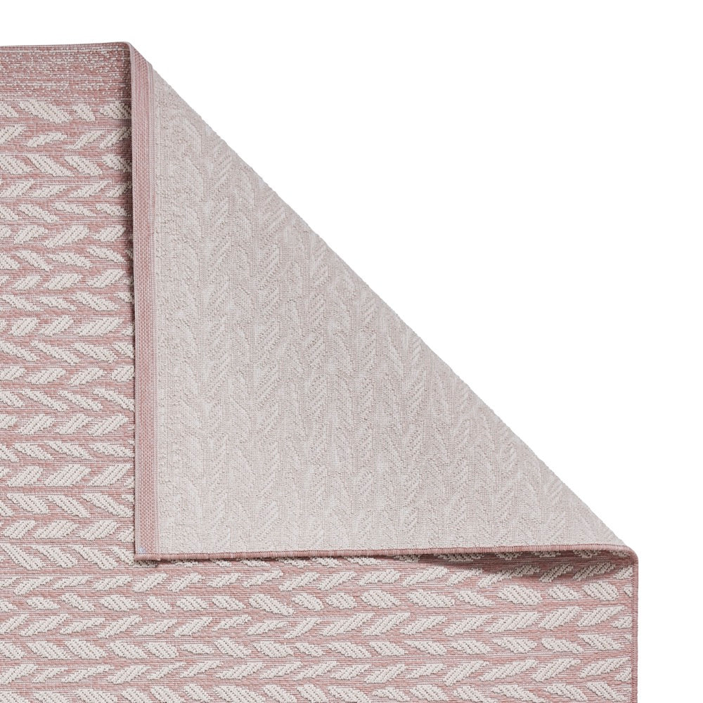 Coast A055 Rose Cream