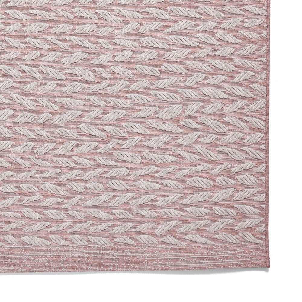 Coast A055 Rose Cream