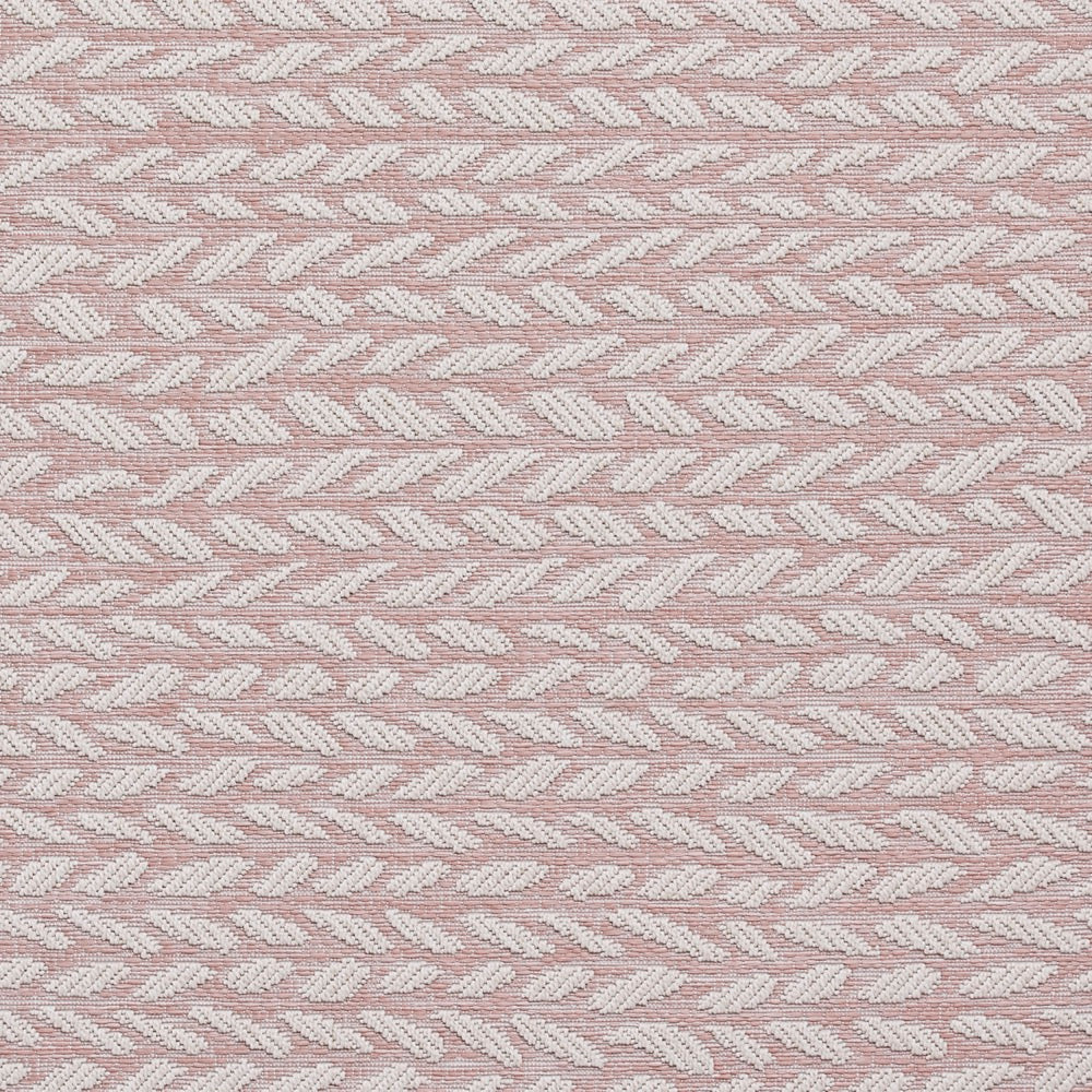 Coast A055 Rose Cream