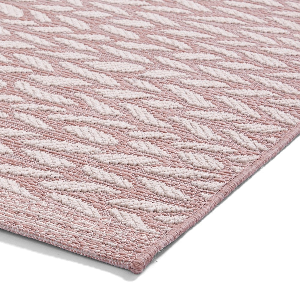 Coast A055 Rose Cream