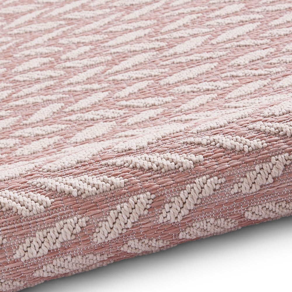 Coast A055 Rose Cream